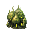 Hop Patch